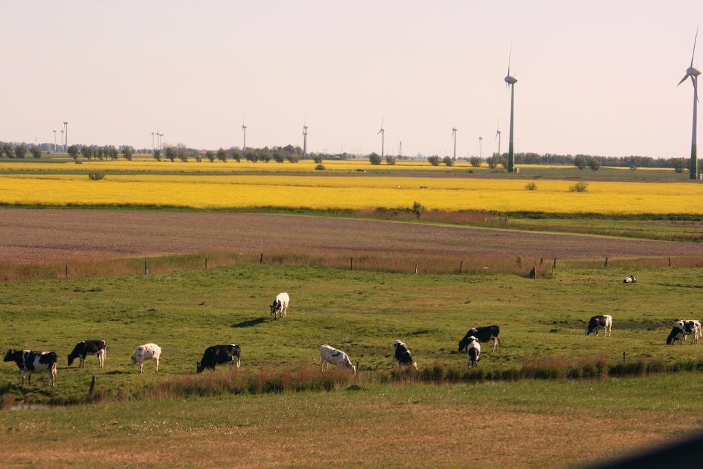 Landhaus Krabbe Von Greetsiel Extérieur photo